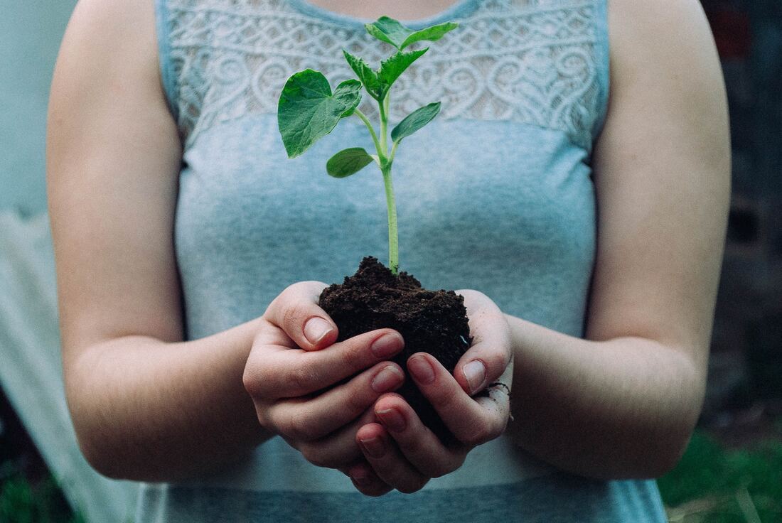 Fotografia de uma mulher que segura entre as mãos um bocado de terra de onde cresce uma planta. As mãos este à altura do peito e só se vê o tronco da mulher, que veste uma t-shirt azul clara sem mangas.